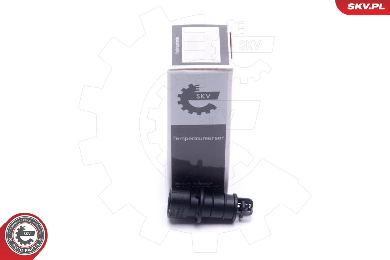 Sensor, intake air temperature